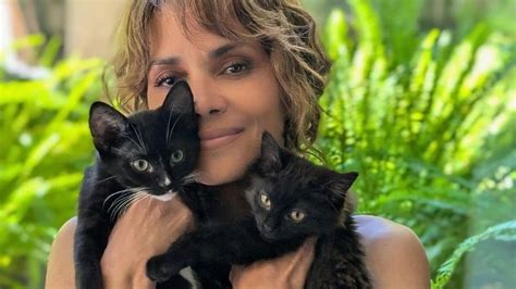 halle berry ig|Halle Berry adota gatos e diz que se tornou ‘amante。